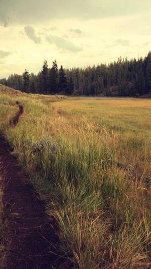 seo优化视频截图3