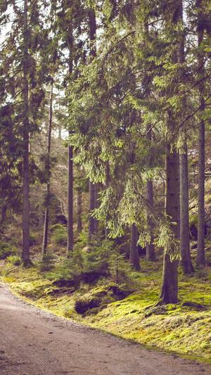 北京网站建设app截图3