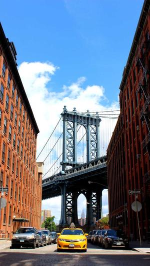 小霸王蜘蛛池教程截图2