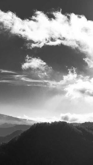 搜外网seo工具截图3