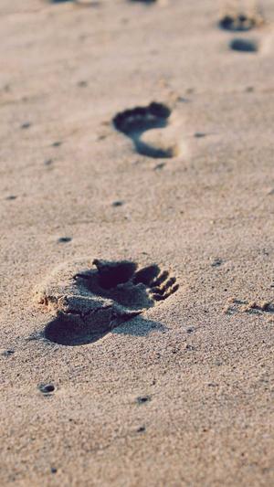 上海网站建设截图2