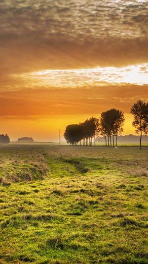 公司seo优化截图1