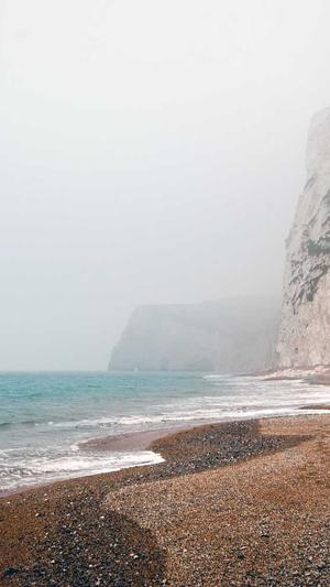 蜘蛛池外推地址截图2