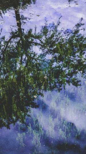 旋风蜘蛛池新闻截图4