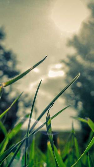 seo报价工具秒收截图2