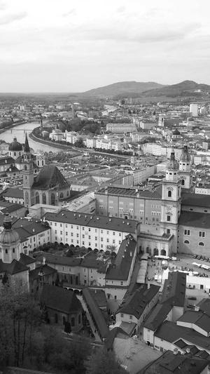 蜘蛛池域名没收录截图3