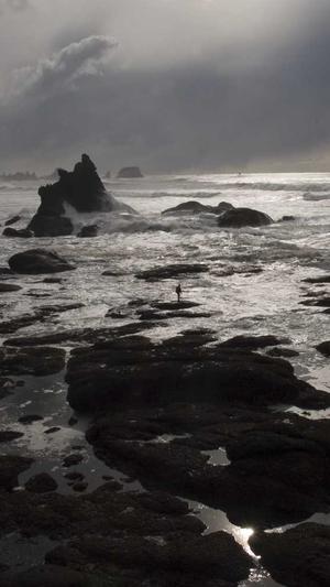 公司seo优化截图3