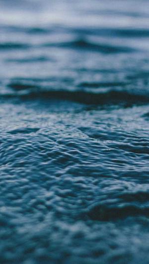 沧州网站建设截图2