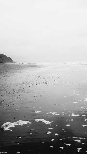 重庆seo优化这截图2