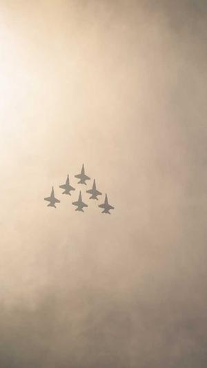 蜘蛛池步骤教程截图1