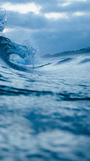 智能seo优化工具有哪些截图4