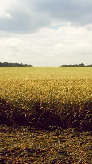 徐州网站建设截图2