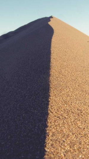 千云坛蜘蛛池截图1