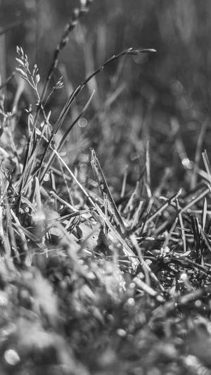 石家庄网站建设wsjz截图3