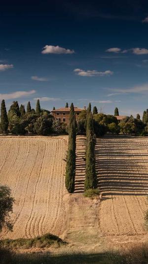 seo搜索引擎优化截图2