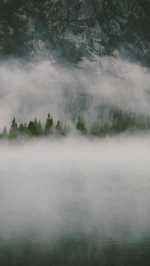 小霸王蜘蛛池后台测试截图3