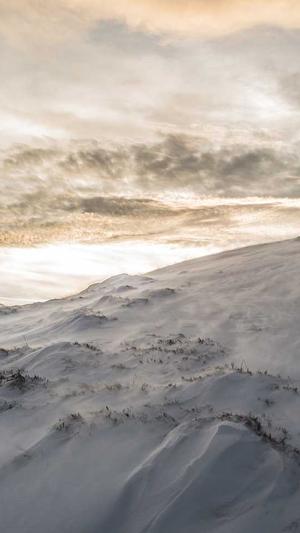 关键字seo排名工具截图1