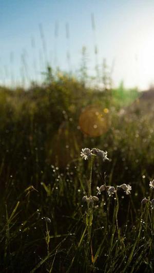 蜘蛛池程序2021截图4