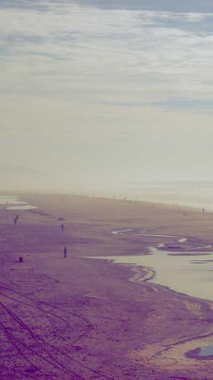 蜘蛛池爬虫技术怎么学截图4