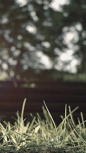 蜘蛛池优化seo博客截图4