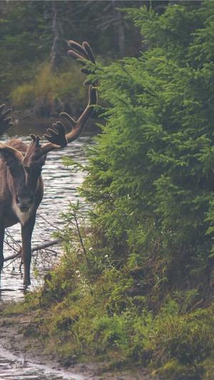 seo工具下载截图4