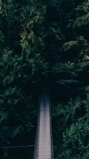 怎么自己写蜘蛛池程序截图3