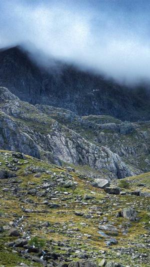 蜘蛛池和爬虫截图2