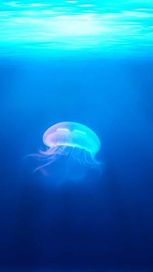 搜狗移动seo工具截图5