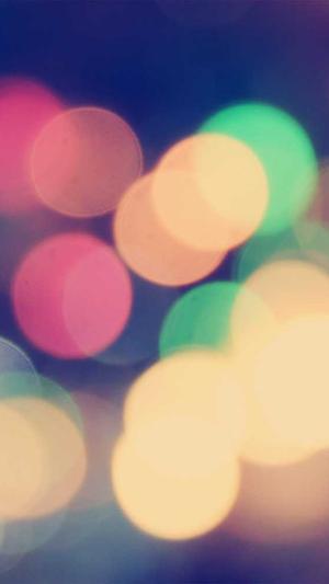 蜘蛛池模板更换影响截图5