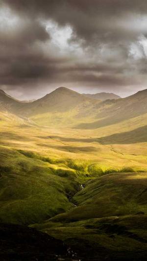 扬中网站建设截图5