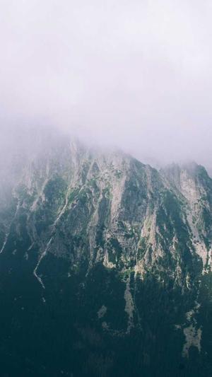 天津工程建设信息网站截图1