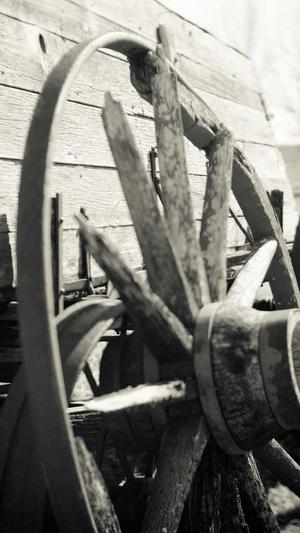 蜘蛛池会被占满吗知乎截图2