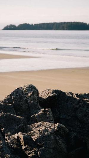 seo优化培训哪家好截图5