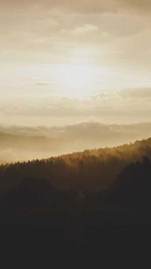 小旋风蜘蛛池x902源码截图1