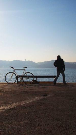 彩云贝seo查询工具截图3