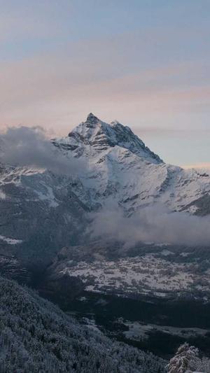 牛人蜘蛛池截图1