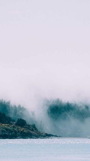 营销型网站建设企业营销型网站平台截图2