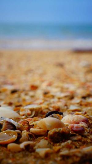 seo伪原创工具破解版截图1