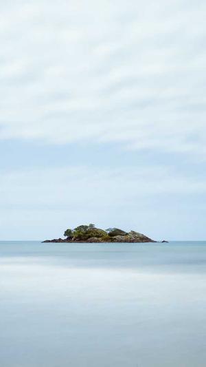 seo工具下载截图2