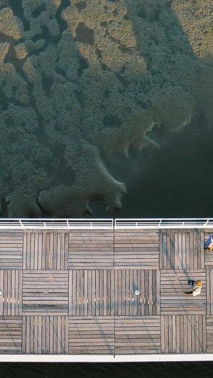 蜘蛛池软件推广渠道截图2