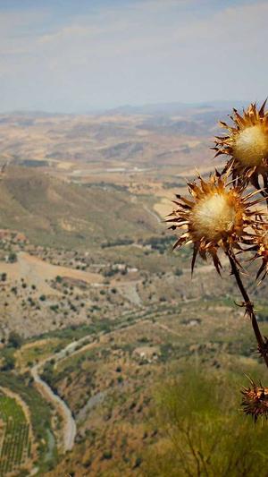 文章seo工具截图4