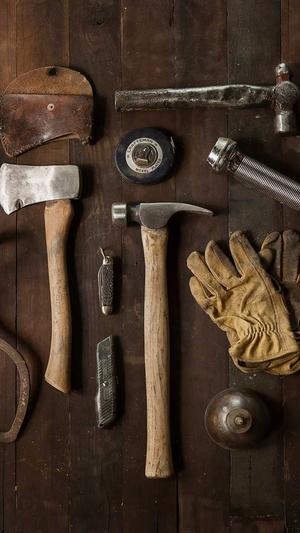 网页版蜘蛛池截图1