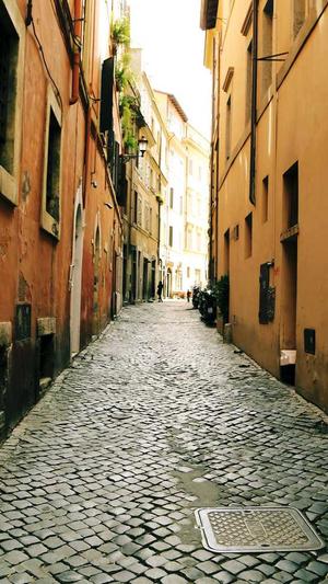 基础工具seo截图4