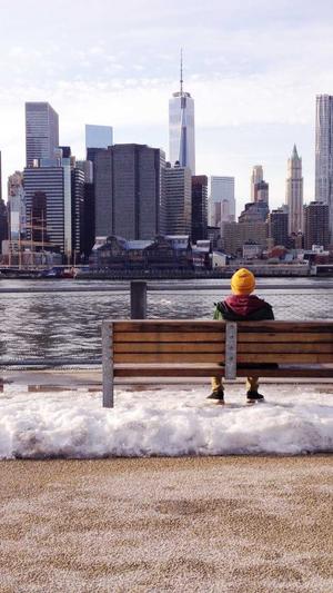 蜘蛛池是什么意思截图2