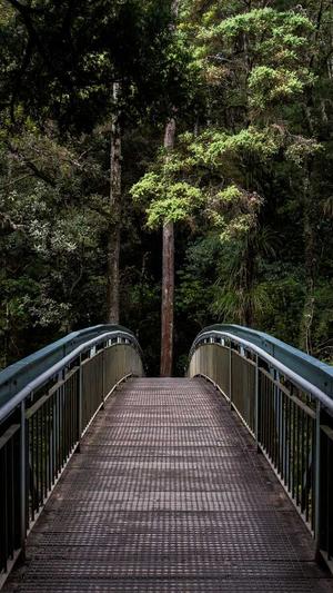 重庆的seo服务公司截图1