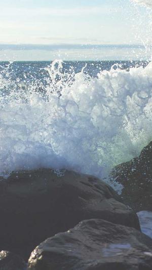 绵阳网站建设截图3