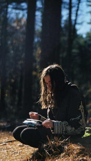 郑州seo排名截图5