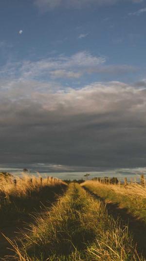 网站建设服务截图4
