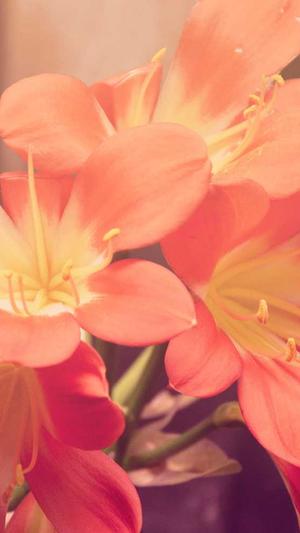 从事网站建设截图3