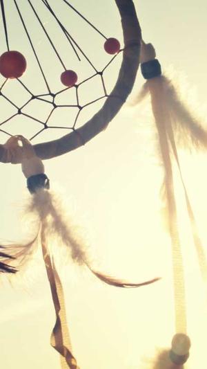 网站建设推广截图2